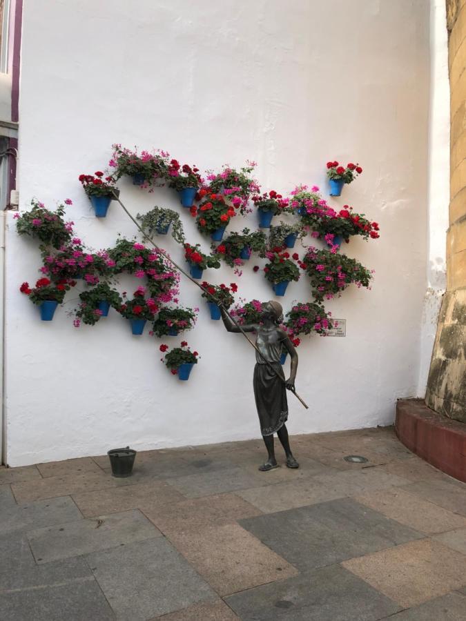La Regaora Appartement *
